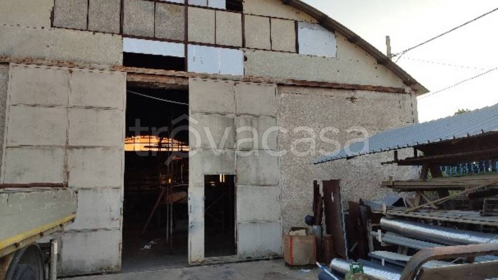 immagine annuncio 2 di 11