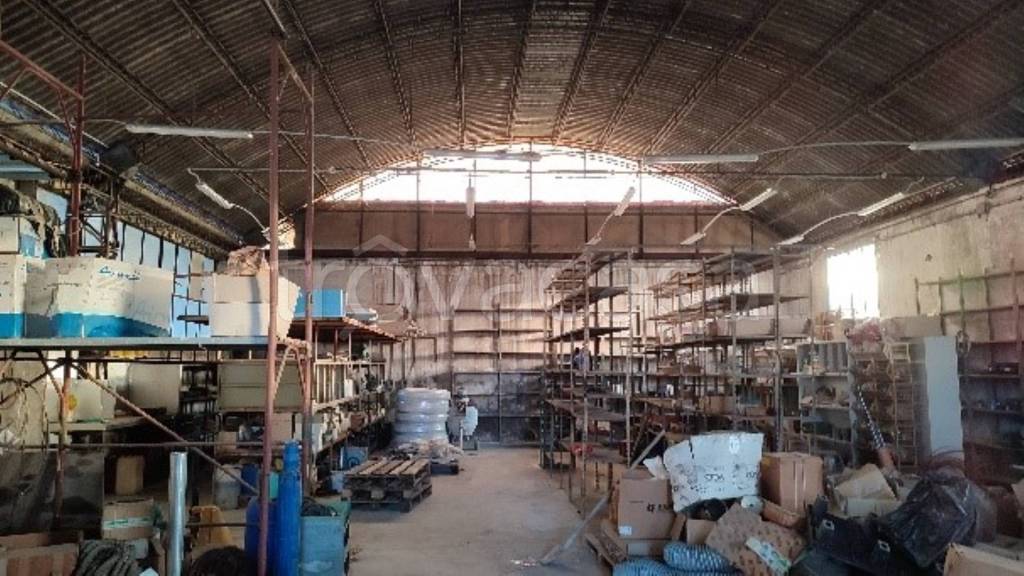 immagine annuncio 3 di 11