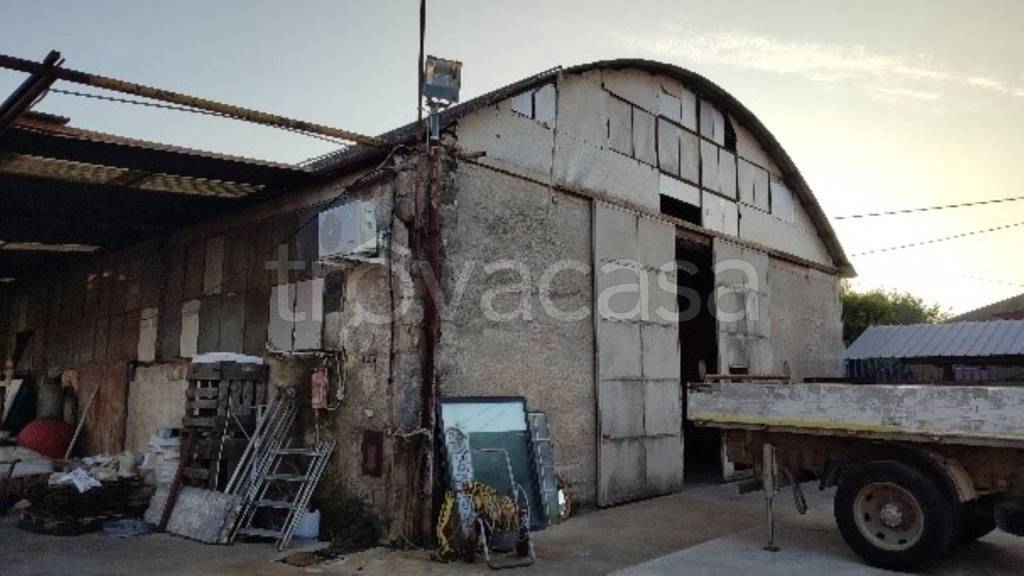 immagine annuncio 5 di 11