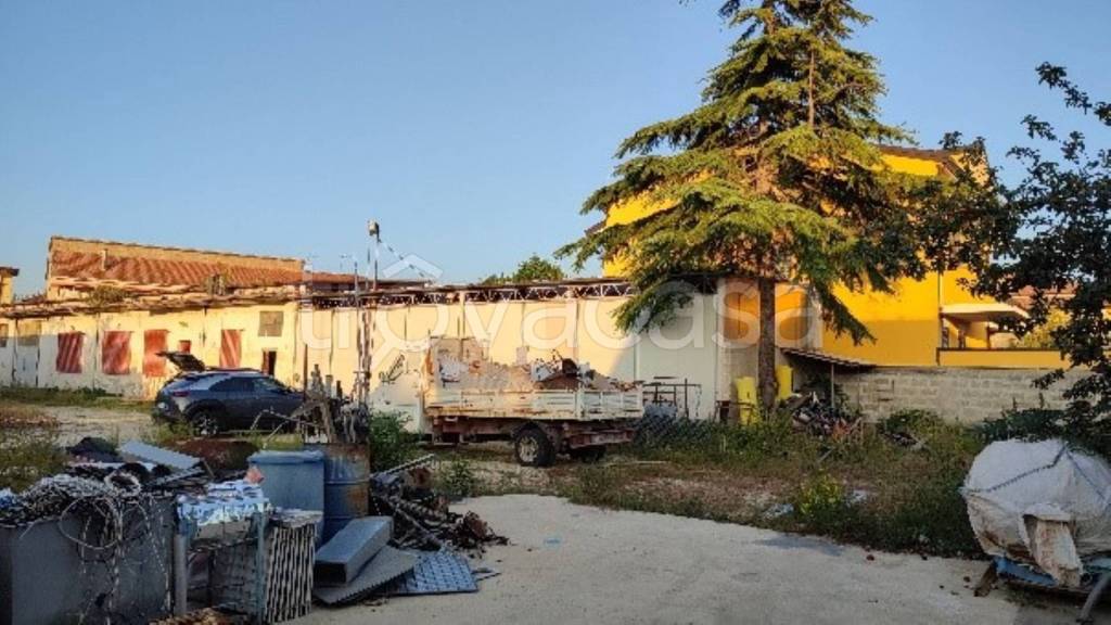 immagine annuncio 8 di 11