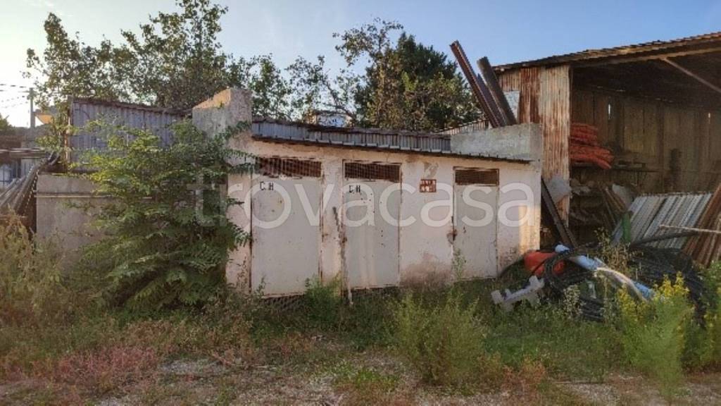 immagine annuncio 10 di 11