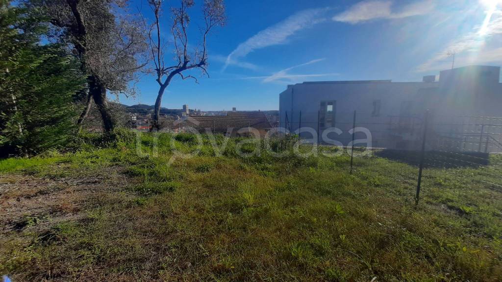 immagine annuncio 6 di 11