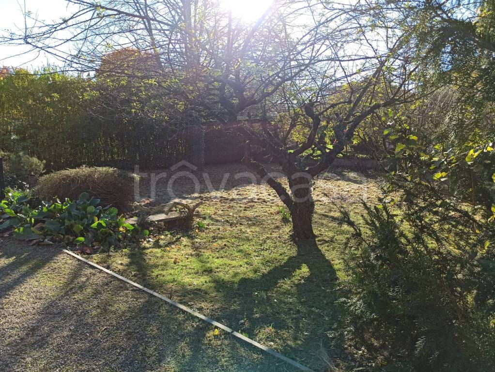 immagine annuncio 8 di 12