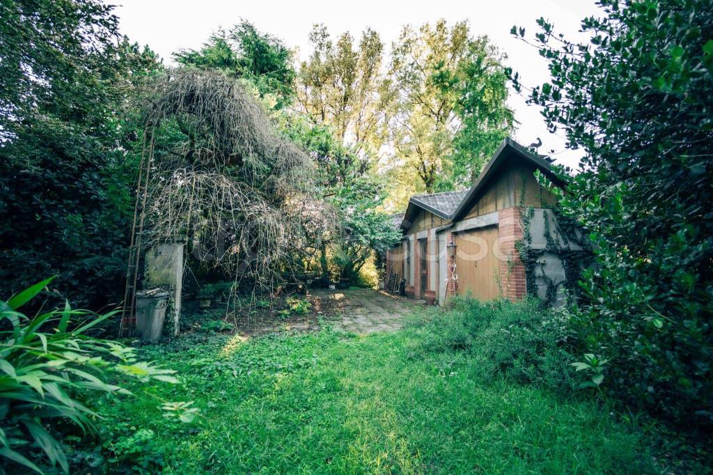 immagine annuncio 12 di 15