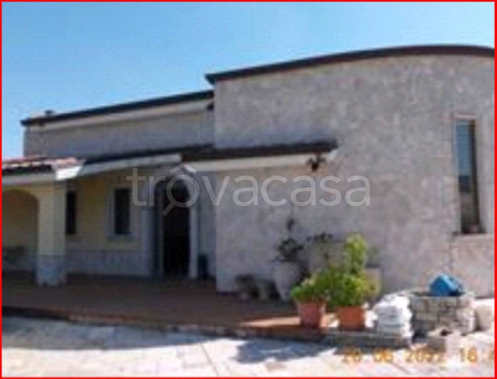 immagine annuncio 3 di 11