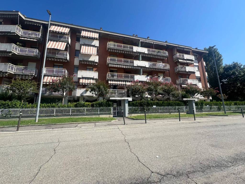 immagine annuncio 1 di 15