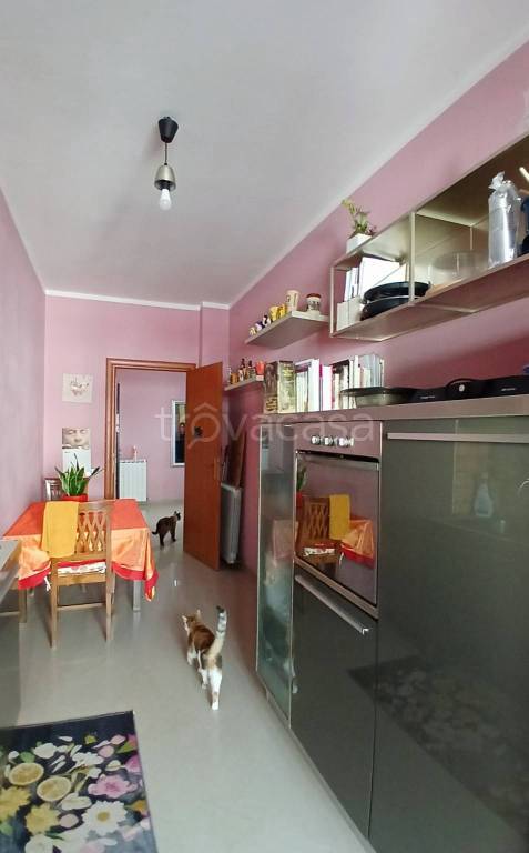 immagine annuncio 1 di 12