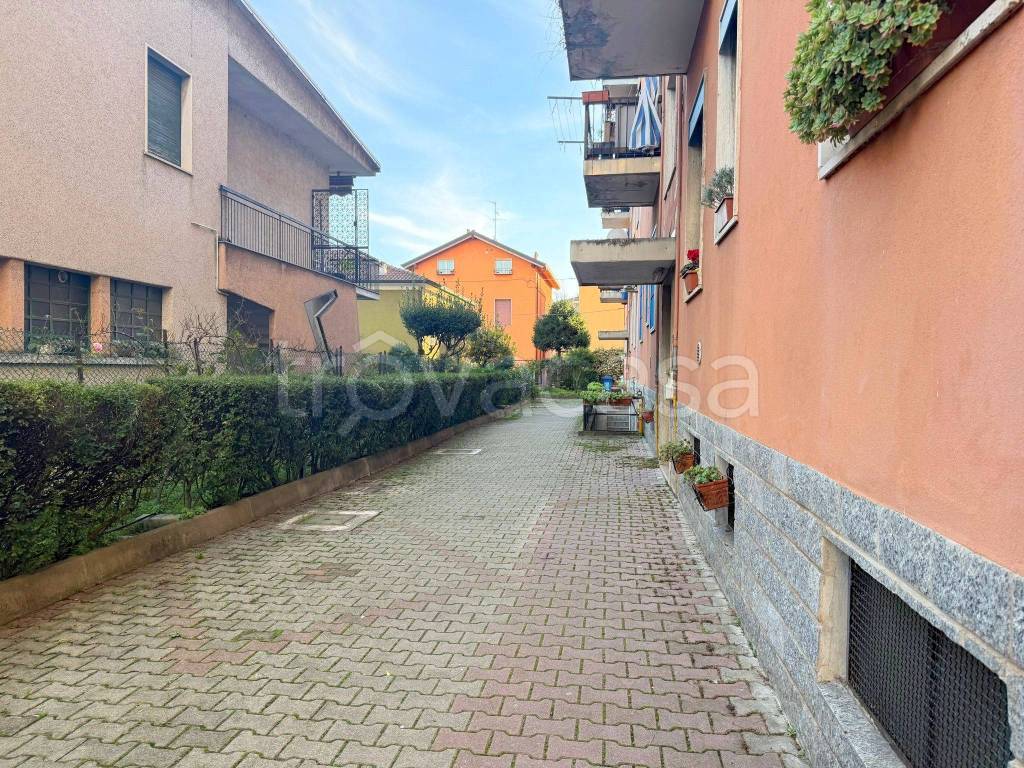 immagine annuncio 2 di 9