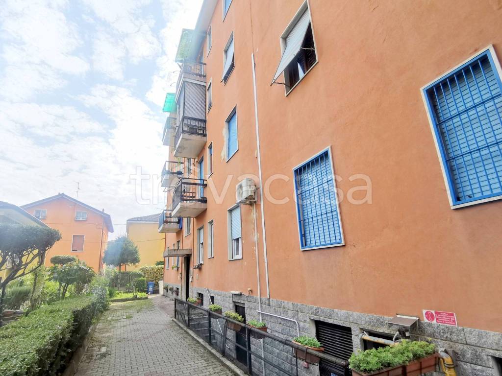 immagine annuncio 3 di 9