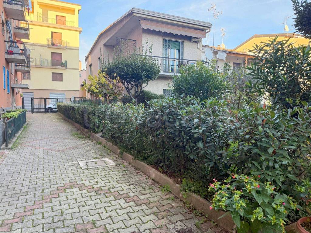 immagine annuncio 4 di 9