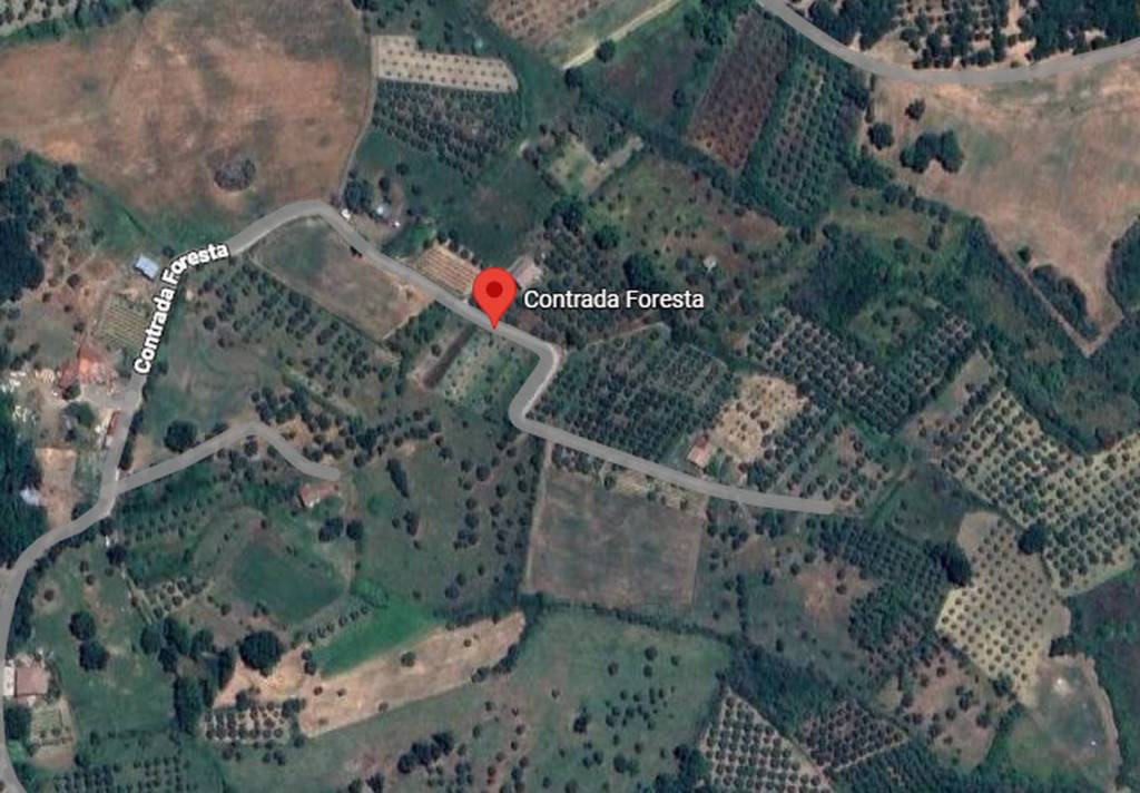 immagine annuncio 2 di 11