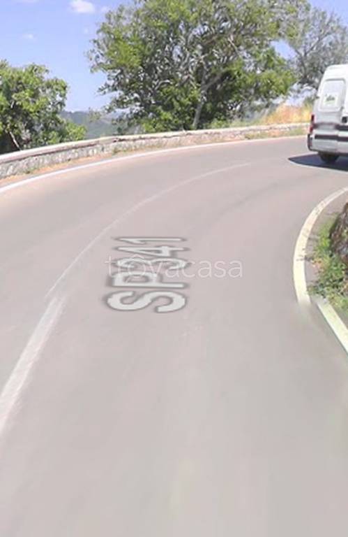 immagine annuncio 8 di 11