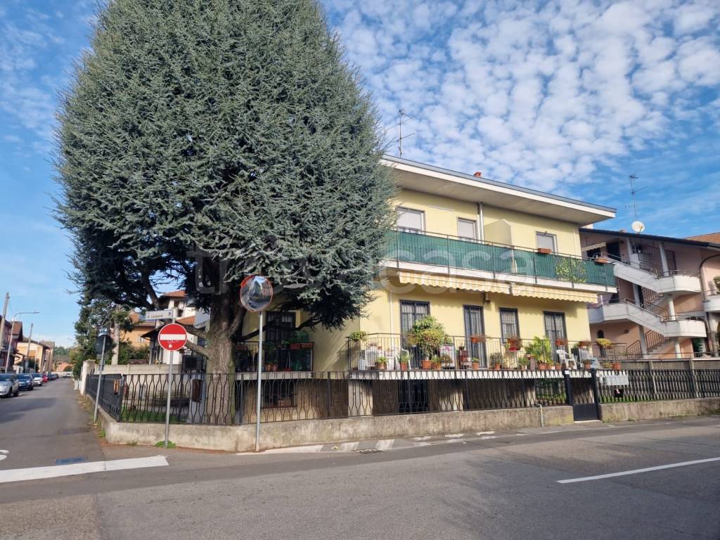 immagine annuncio 2 di 4