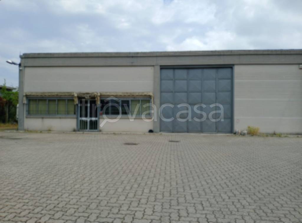 immagine annuncio 1 di 11