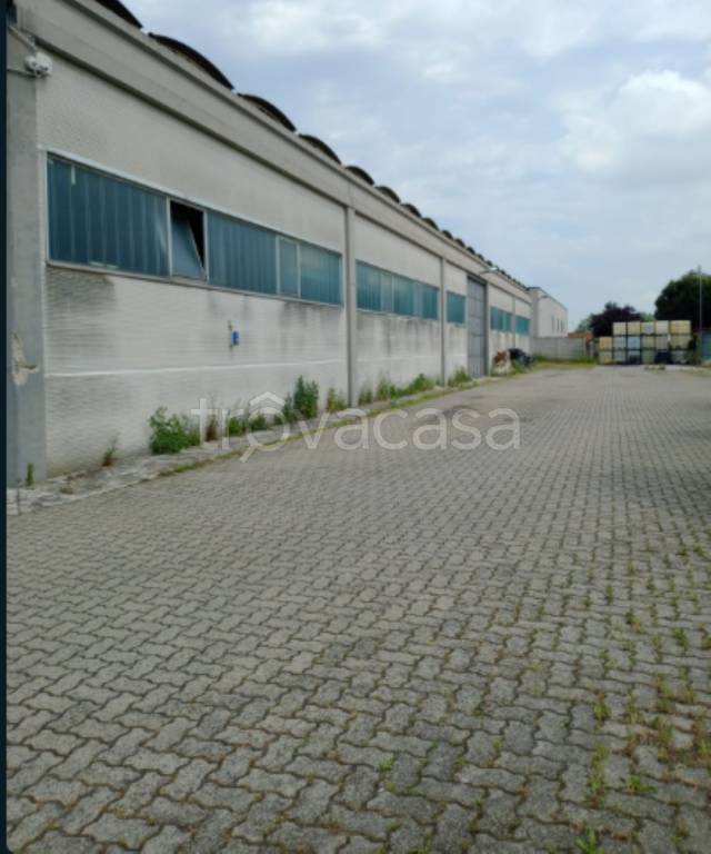 immagine annuncio 2 di 11