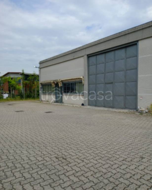 immagine annuncio 3 di 11