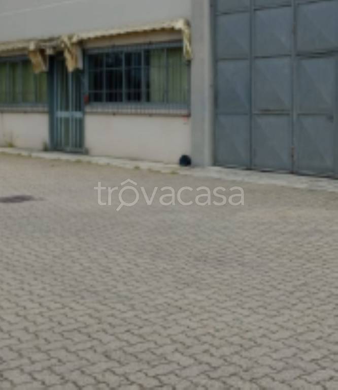 immagine annuncio 4 di 11