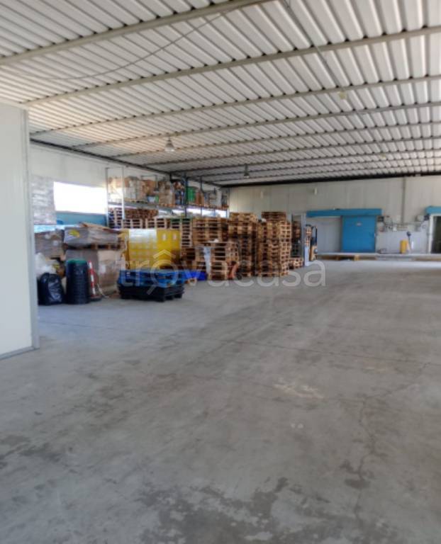 immagine annuncio 5 di 11