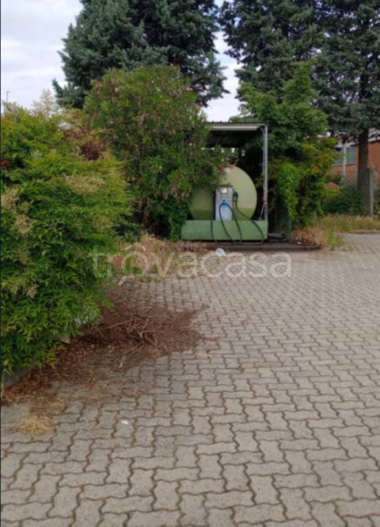 immagine annuncio 7 di 11