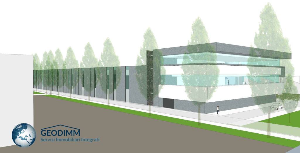 immagine annuncio 3 di 8