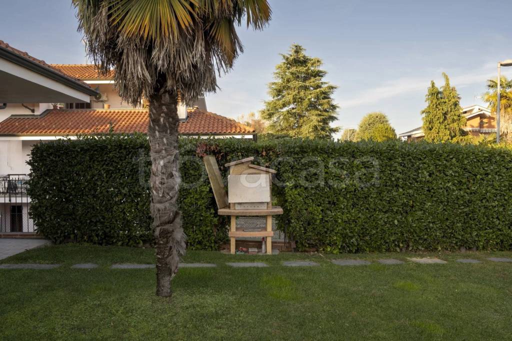 immagine annuncio 9 di 15