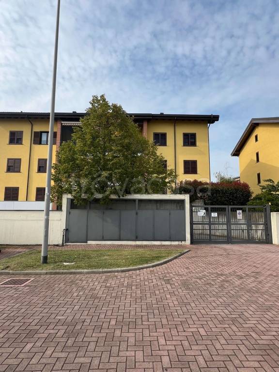 immagine annuncio 12 di 13