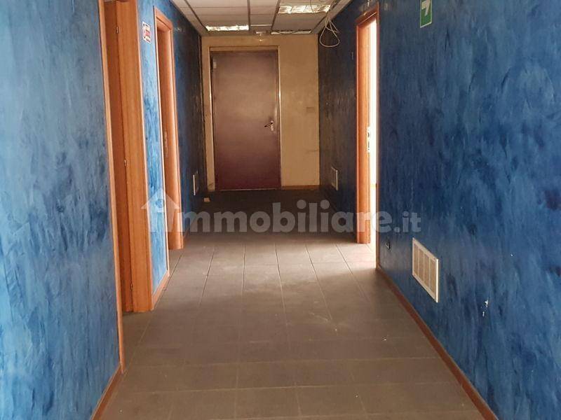 immagine annuncio 12 di 14