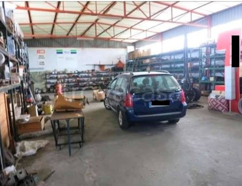 immagine annuncio 10 di 15