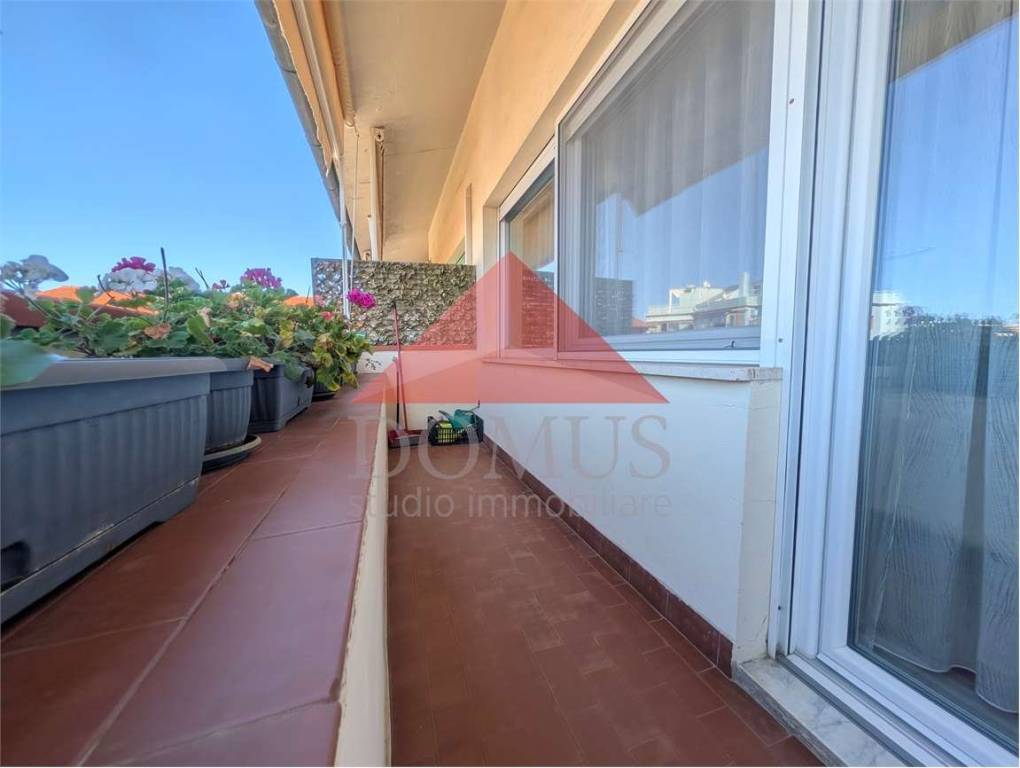 immagine annuncio 2 di 8