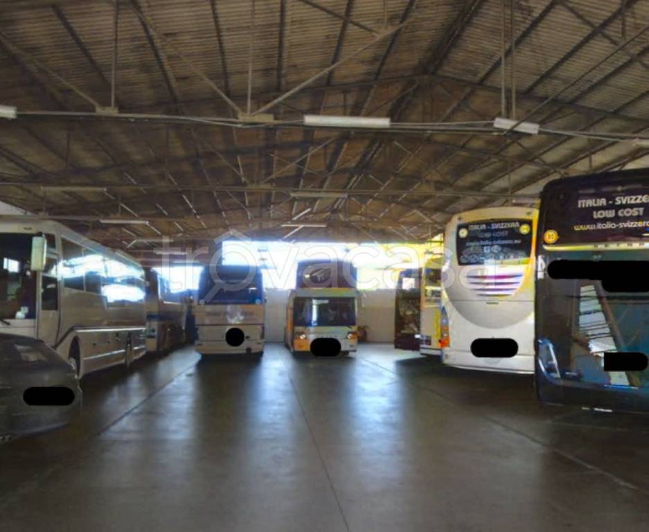 immagine annuncio 2 di 12