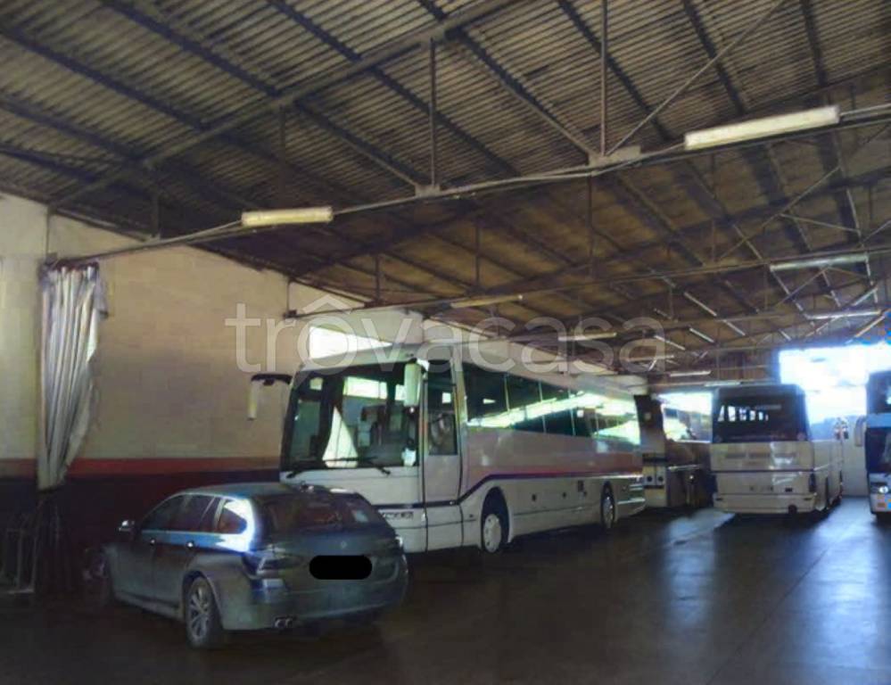 immagine annuncio 3 di 12