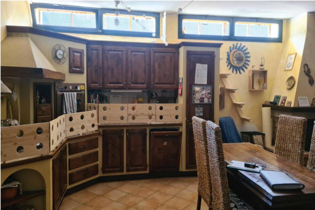 immagine annuncio 3 di 12