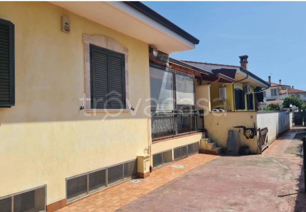 immagine annuncio 9 di 12