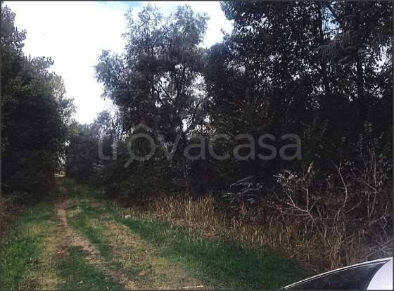 immagine annuncio 4 di 7