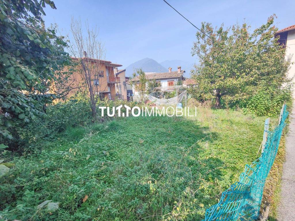 immagine annuncio 4 di 14