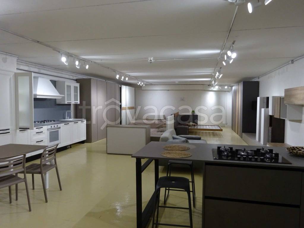 immagine annuncio 4 di 12