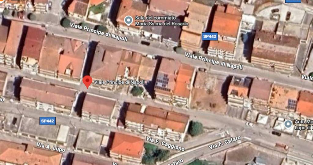 immagine annuncio 3 di 14