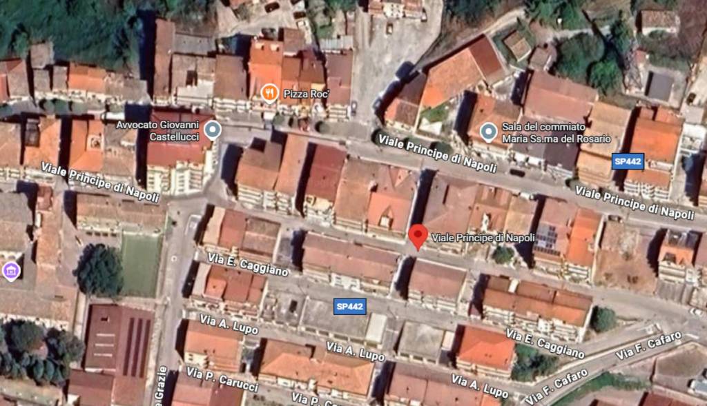 immagine annuncio 5 di 14