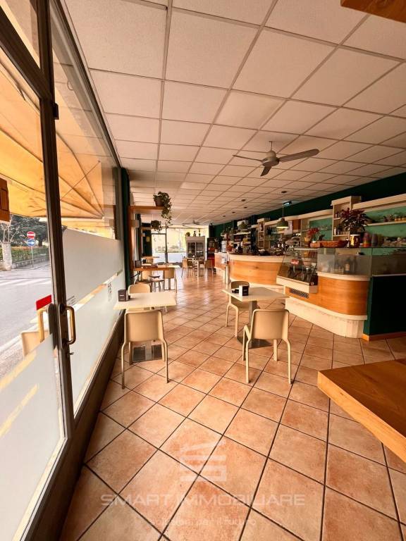 immagine annuncio 5 di 12