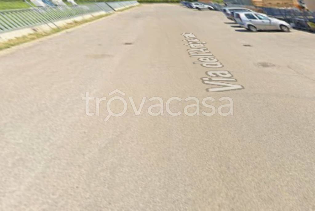 immagine annuncio 2 di 11