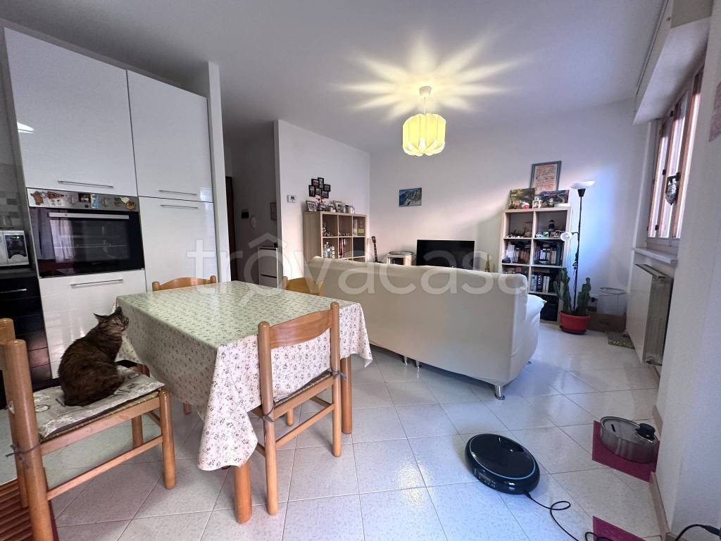 immagine annuncio 3 di 14