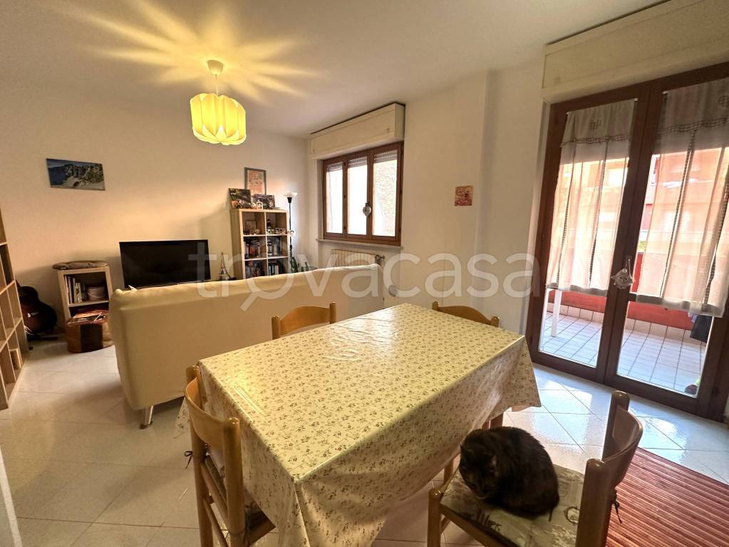 immagine annuncio 2 di 14