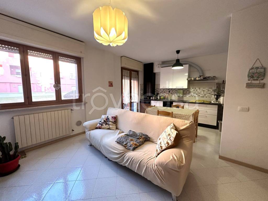 immagine annuncio 1 di 14