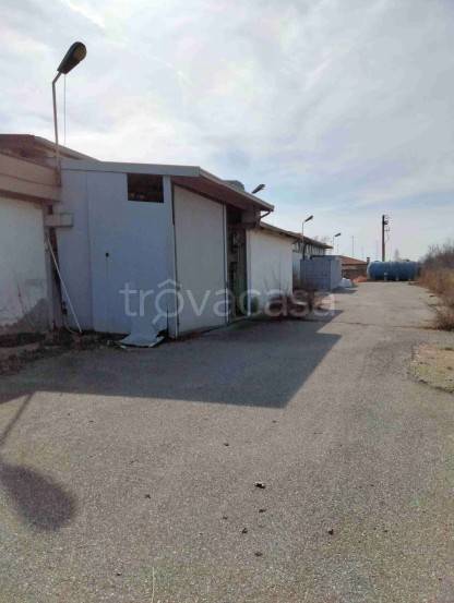 immagine annuncio 1 di 14