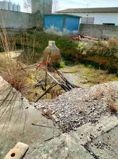 immagine annuncio 3 di 14