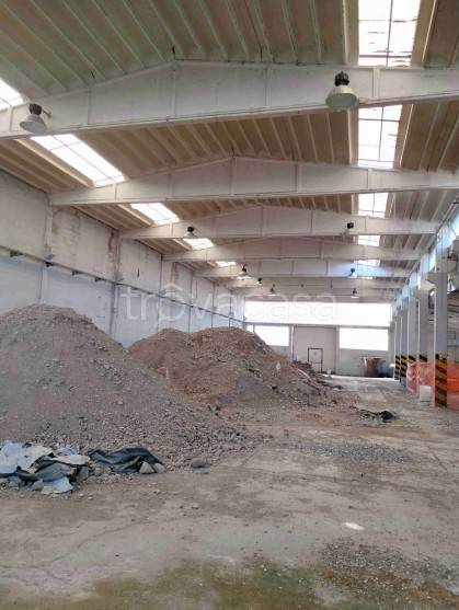 immagine annuncio 4 di 14