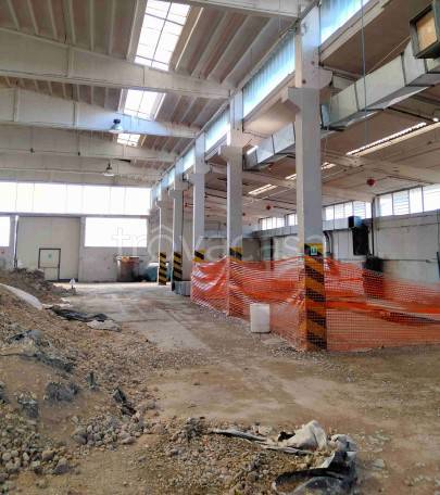 immagine annuncio 6 di 14