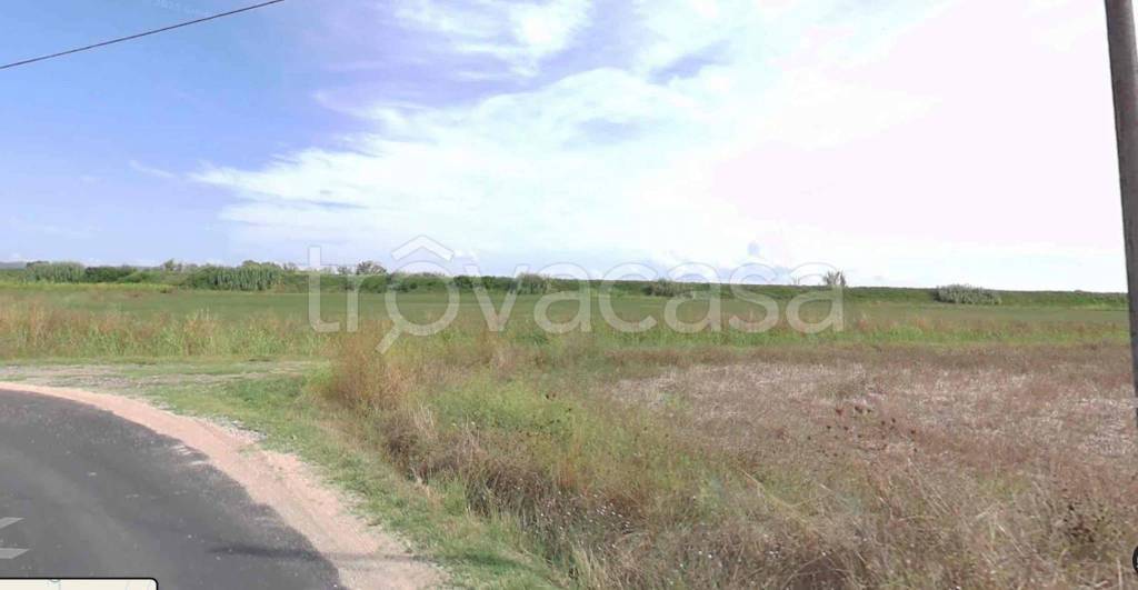 immagine annuncio 6 di 7