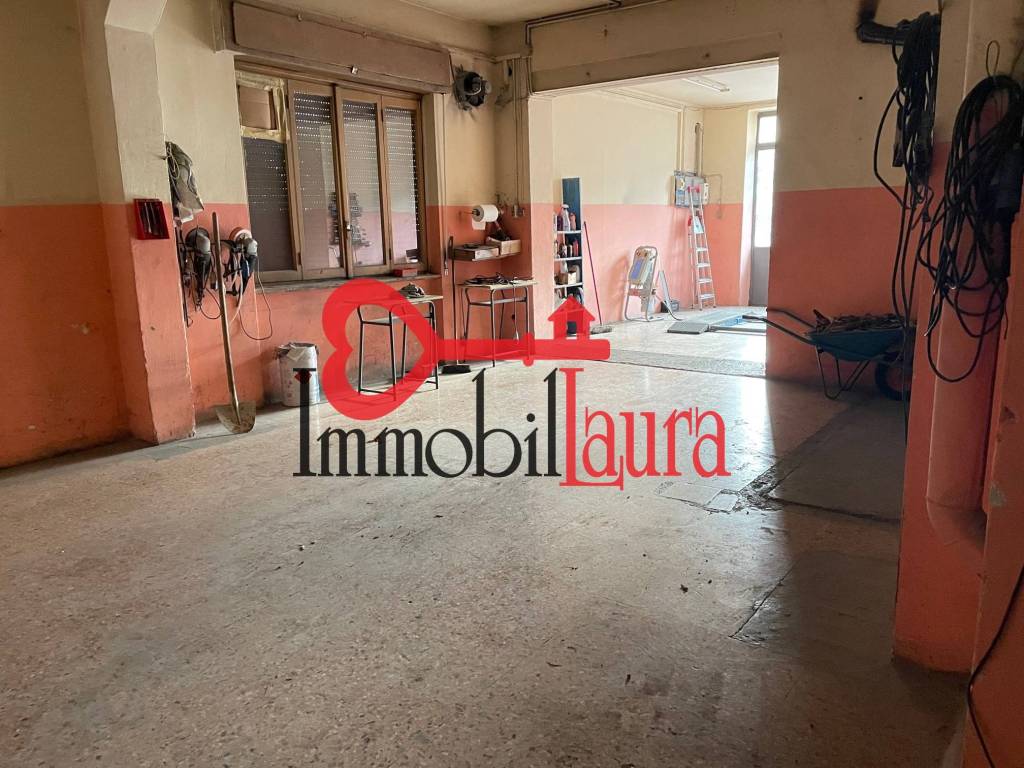 immagine annuncio 1 di 14