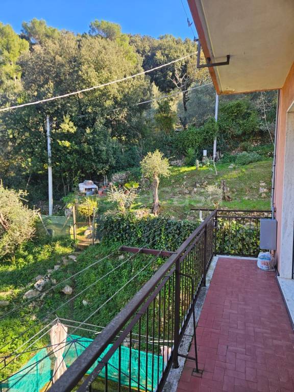 immagine annuncio 4 di 8